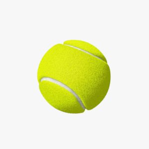 Sporting Goods Cricket Tennis Ball Yellow