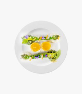 Starter with Apricots