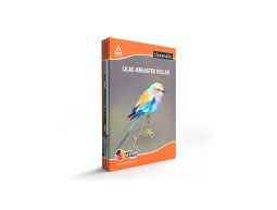 Classmate - Long One Side Single Rule Notebook