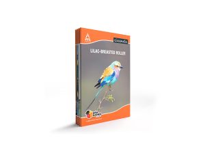 Classmate - Long One Side Single Rule Notebook