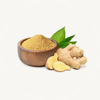 Ginger